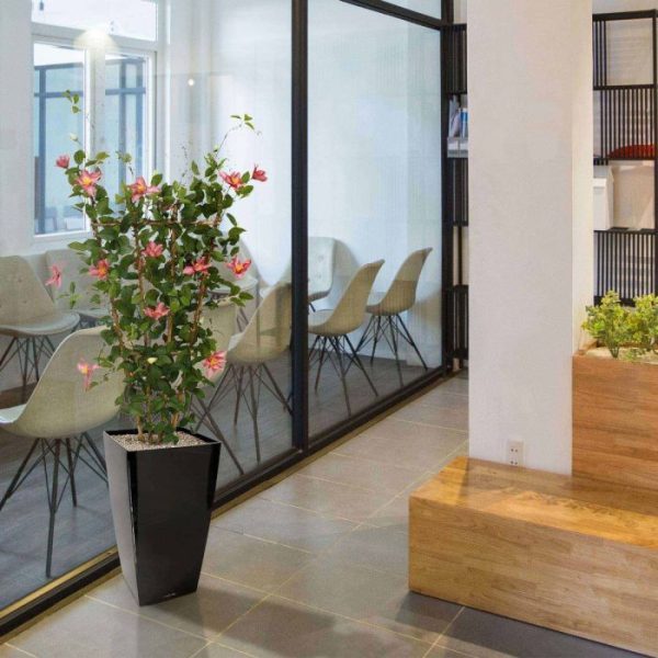 Clematis-Heg-125-cm-rose-6 Clematis Heg 125 cm rose 6