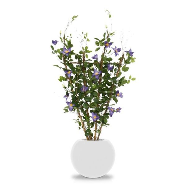 Kunstbomen de witte knoppen en de zeer fijne takjes van echt hout. Een bijzonder delicate heg met een hoog decoratief gehalte voor serre's