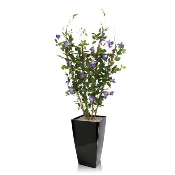Bloeiende kunstbomen entree of horeca. De hoogte van de semi-kunst Clematis is 125 cm
