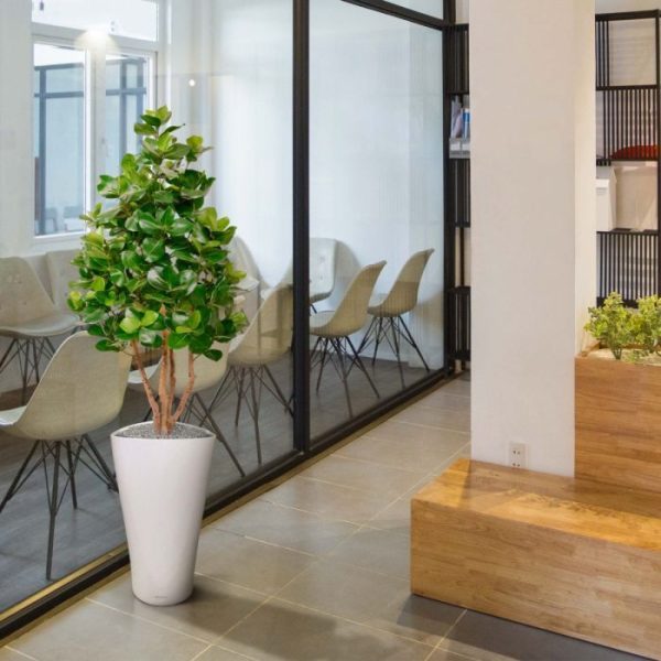 Clusia Deluxe kunstboom 120 cm 6