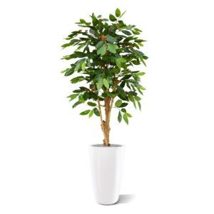 De Coffee Arabica Deluxe 150 cm is in alle opzichten een schitterende kunstboom! Het blad is een perfecte imitatie van de Arabica