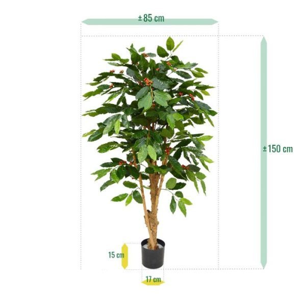 Coffee Arabica Deluxe 150 cm N 6