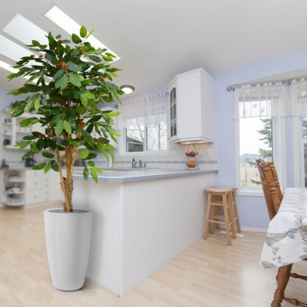 Coffee Arabica Deluxe 150 cm N 7