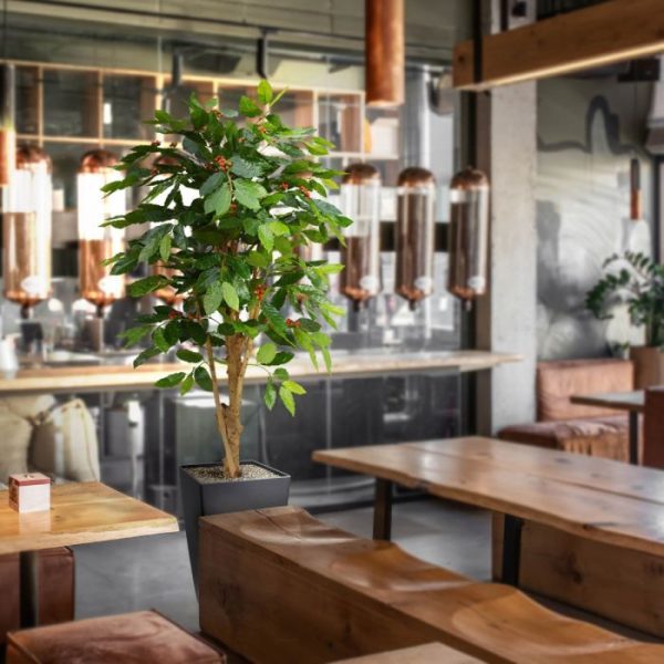 Coffee Arabica Deluxe 150 cm N 8