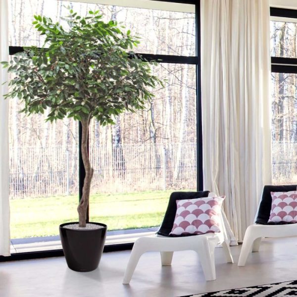 Coffee-Arabica-Giant-kunstboom-320-cm-7 Coffee Arabica Giant kunstboom 320 cm 7