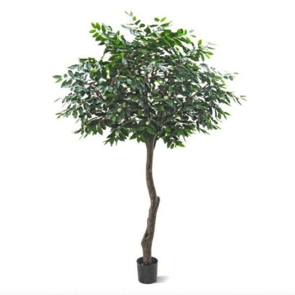 Coffee-Arabica-Giant-kunstboom-320-cm-9 Coffee Arabica Giant kunstboom 320 cm 9