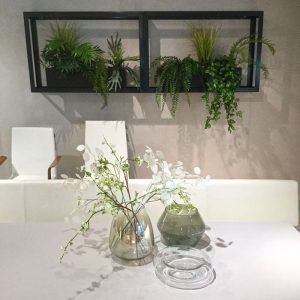 De Columnea hangplant komt oorspronkelijk uit Zuid-Amerika en de het Caribisch gebied. Dus als u een tropische sfeer wilt creëren