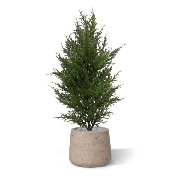 hoogwaardige pvc-soort. Met meerdere in een bak is deze natuurlijk ogende Thuja goed te combineren met bijvoorbeeld de hogere Conifeer Deluxe.   De kunstplant is totaal ongeveer 50 cm hoog