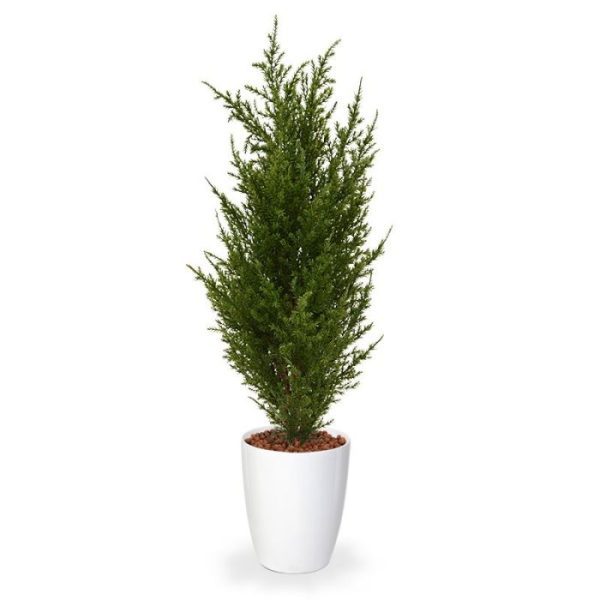 Deze kunst conifeer ziet er niet alleen geweldig realistisch uit