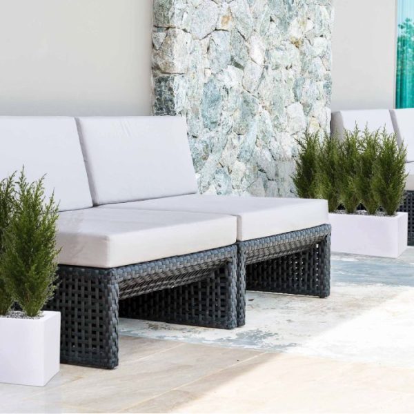 Conifeer 50 cm in binnenpot 8