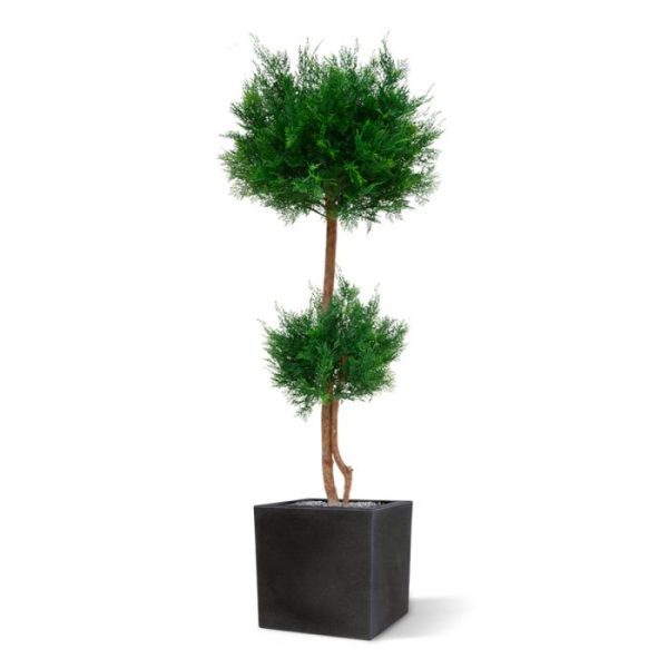 Groene kunstbomen op 2 stammen van echt hout