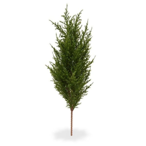 Conifeer-boeket-56-cm-7 Conifeer boeket 56 cm 7