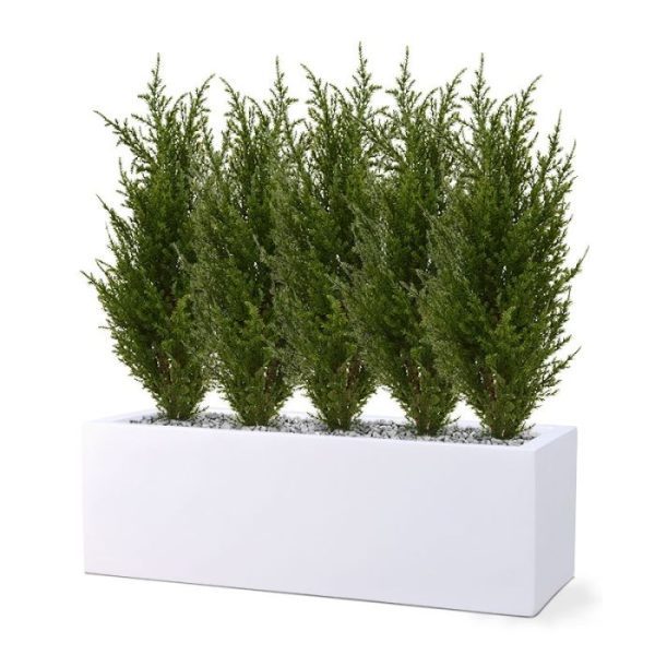 Conifeer-boeket-56-cm-UV-10 Conifeer boeket 56 cm UV 10
