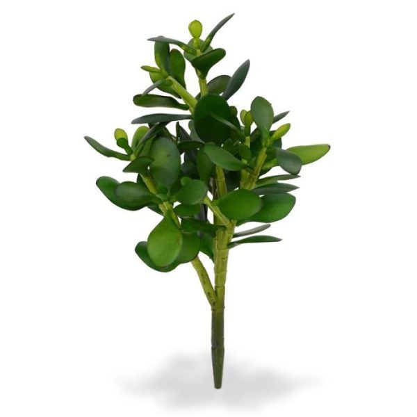Crassula-Boeket-30-cm-3 met deze cactusachtige kunstplant kunt u perfect combineren. De diameter van de Crassula is ongeveer 18 cm en de hoogte is inclusief de steel ongeveer 40 cm. Standaard wordt de kunstplant geleverd als losse steker