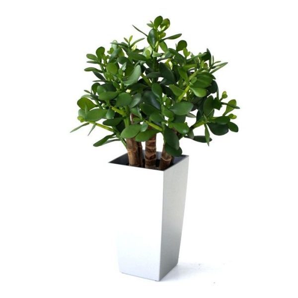 of met meerder op een rij