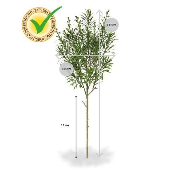 zodat ze makkelijk in composities te gebruiken zijn. De hier getoonde sierpotten zijn tegen meerprijs direct mee te bestellen. Vanaf 6 stuks geldt bovendien een voordeel prijs.