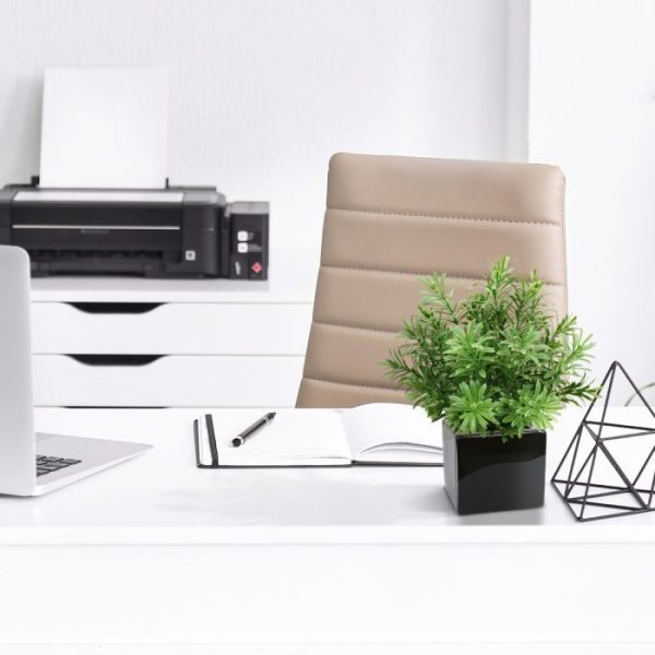 Crossostephium kunst vetplant 28 cm in plastic pot 5