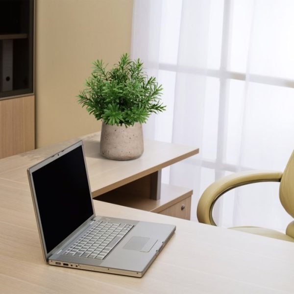 Crossostephium kunst vetplant 28 cm in plastic pot 6