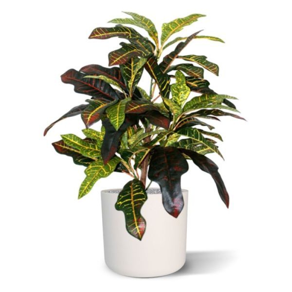 Kunstplanten zorgt door zijn diversiteit in bladprints en verschillende bonte kleuren voor een prachtige uitstraling!   De Croton kunstplant heeft een hoogte van ongeveer 55cm