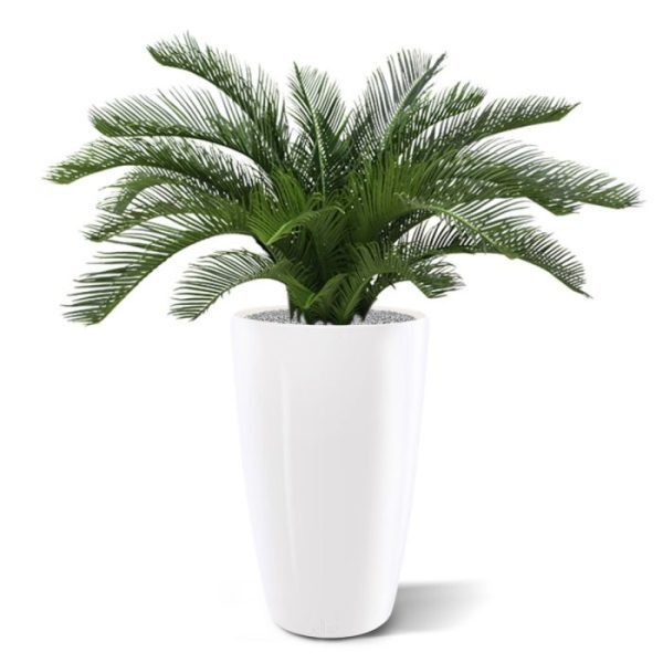 Cycas kunstpalm 60 cm Deluxe Deze kunst Cycas Palm 60 cm ziet er niet alleen heel echt uit