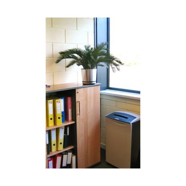 is deze plant uitermate geschikt om buiten gebruikt te worden. Ook wordt de Cycas veel gebruikt in zwembaden! De plant wordt standaard geleverd in plastic pot