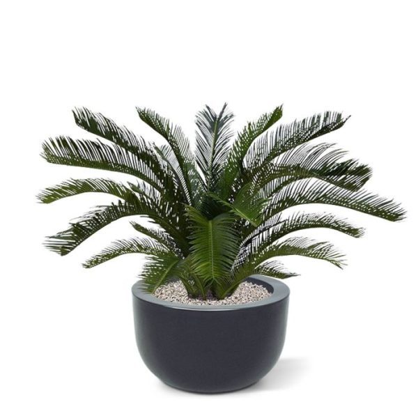 Kunstplanten zijn harde kunststof bladeren voelen ook net als de echte Cycas palmen! De natuurgetrouwe Cycas is gemaakt van hoogwaardige