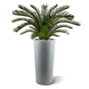 Deze UV-bestendige Cycas kunstpalm ziet er niet alleen heel echt uit