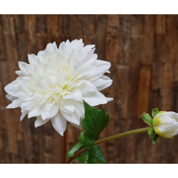 roze en oranje. Vanaf 12 stuks kunt u gebruik maken van de voordeel prijs.