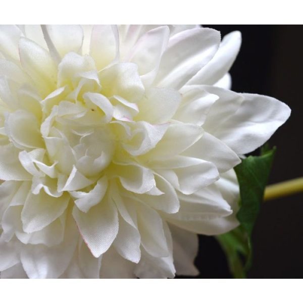 Deze schitterende kunst Dahlia steelbloem is net echt! De kunstbloem is opgebouwd uit een enkele steel met daarop een kunstzijden Dahlia bloem en een zijtak met een knop. De grote bloem meet ongeveer 10 cm breed en is zeer verfijnd nagemaakt. De kunst Dahlia wordt standaard als losse steel geleverd en kan daardoor makkelijk verwerkt worden tot prachtige kunstboeketten. De steel heeft een lengte van ongeveer 50 cm en is verkrijgbaar in het creme