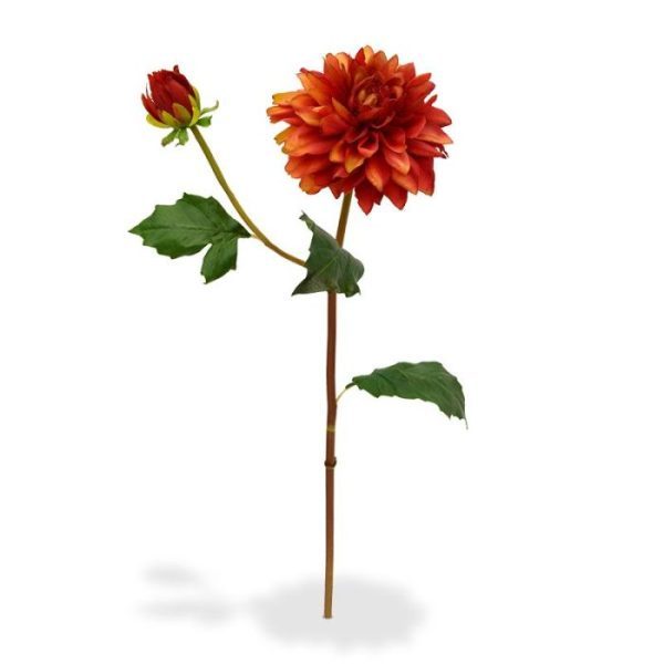 Deze schitterende kunst Dahlia steelbloem is net echt! De kunstbloem is opgebouwd uit een enkele steel met daarop een kunstzijden Dahlia bloem en een zijtak met een knop. De grote bloem meet ongeveer 10 cm breed en is zeer verfijnd nagemaakt. De kunst Dahlia wordt standaard als losse steel geleverd en kan daardoor makkelijk verwerkt worden tot prachtige kunstboeketten. De steel heeft een lengte van ongeveer 50 cm en is verkrijgbaar in het creme