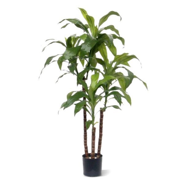 Draceana Fragrans kunstplant 90 cm 6