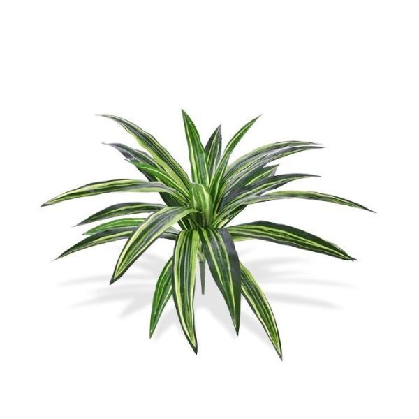 Wat een beauty is dit kunst Dracaena Massangeana boeket. Kijk maar eens goed naar die witte en groene kleurschakeringen die elkaar speels afwisselen...dat is toch net echt? Dit springerige en flexibel te buigen boeket met steker is uitstekend geschikt om in een bijzonder arrangement te verwerken. Dit groene Dracaena Massangeana kunstboeket is opgebouwd uit een ijzeren kern met daaromheen vele