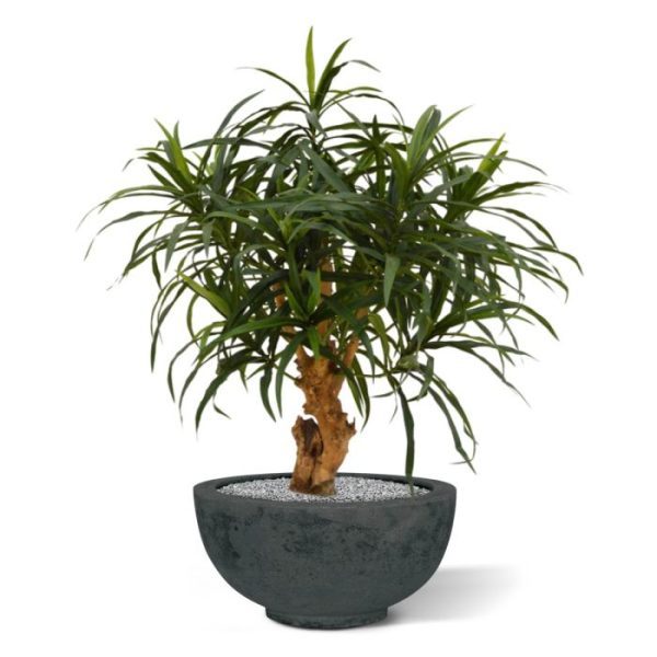 Draceana Reflexa Anita 75 cm kunstplant 10