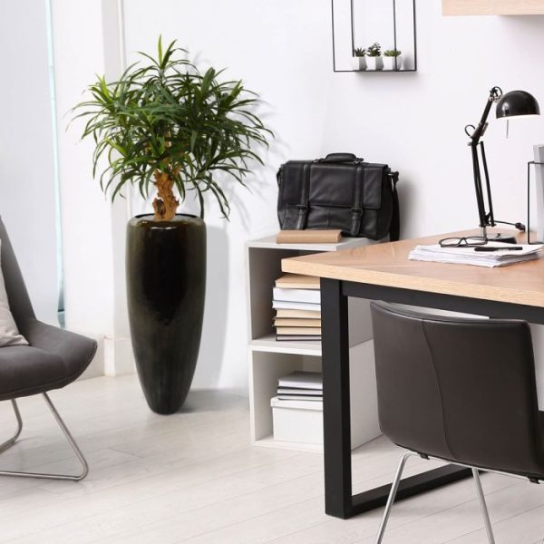 Draceana Reflexa Anita 75 cm kunstplant 6