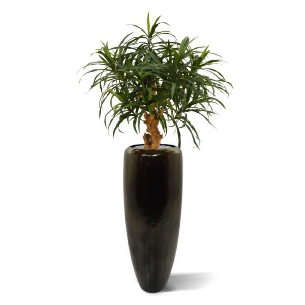 De Reflexa Anita kunstplant kenmerkt zich ten opzichte van de gewone Reflexa doordat de blaadjes langer en smaller zijn. Extra aandacht is uitgegaan naar het natuurlijke karakter