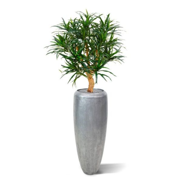 Draceana-Reflexa-Anita-95-cm-kunstplant-10 Draceana Reflexa Anita 95 cm kunstplant 10