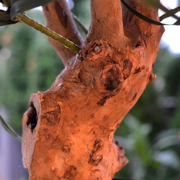 Draceana-Reflexa-Anita-95-cm-kunstplant-3 Draceana Reflexa Anita 95 cm kunstplant 3