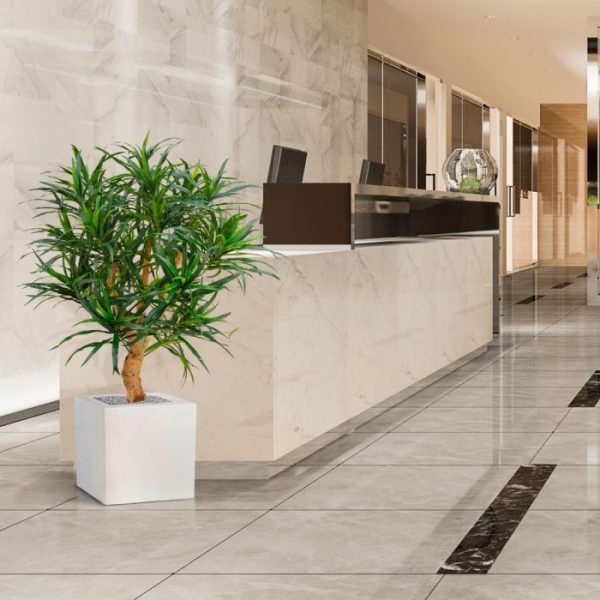 Draceana-Reflexa-Anita-95-cm-kunstplant-7 Draceana Reflexa Anita 95 cm kunstplant 7