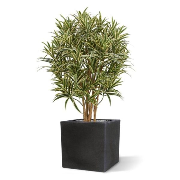 Groene kunstbomen Draceana Reflexa kunstplant 100 cm 2