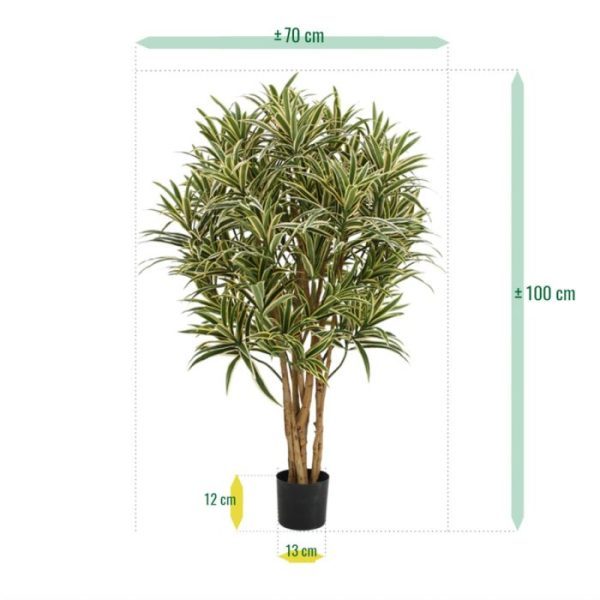 Draceana-Reflexa-kunstplant-100-cm-4 Draceana Reflexa kunstplant 100 cm 4