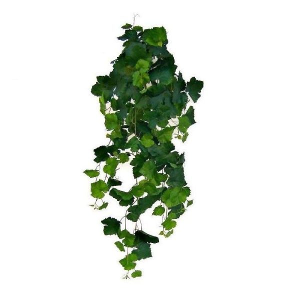 Kunst Hangplanten waardoor de hangplant extre natuurlijk oogt. Bij afname vanaf 6 stuks geldt een voordeelprijs!