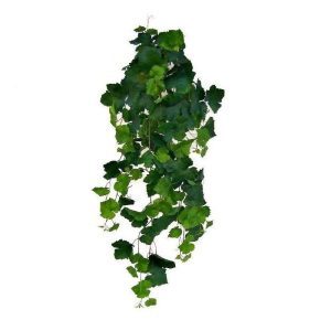 Zeer natuurgetrouwe Druiven hangplant met een lengte van 100cm. De zijden bladeren zijn van bijzonder goede kwaliteit en zeer diverse qua afmeting en kleurstelling