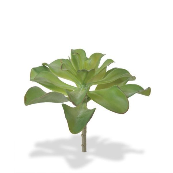 Echeveria Kunstboeket 20 cm 4