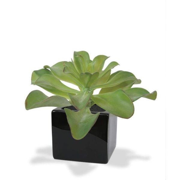 Echeveria Kunstboeket 20 cm 5