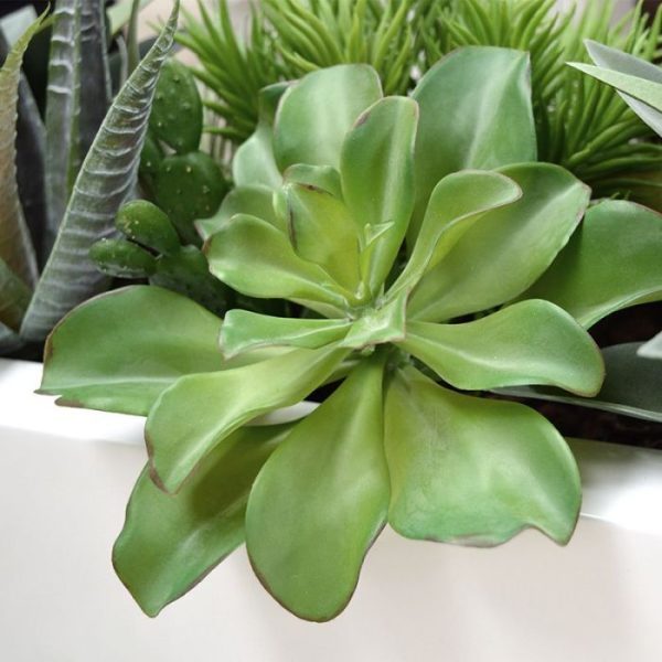 Echeveria Kunstboeket 20 cm 6