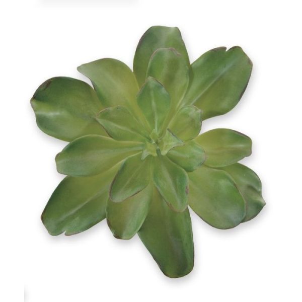 Het Echeveria kunstboeket