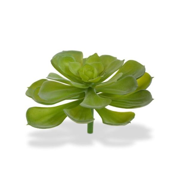 met deze cactusachtige vetplant kunt u perfect combineren. De diameter van de Echeveria is 15 cm en de hoogte is inclusief steel ongeveer 10 cm. Standaard wordt de kunstplant geleverd als losse steker zodat deze eenvoudig te verwerken is. Het afgebeelde sierpotje Kubis kan direct tegen meerprijs mee besteld worden. Vanaf 12 stuks profiteert u bovendien van een staffel korting.
