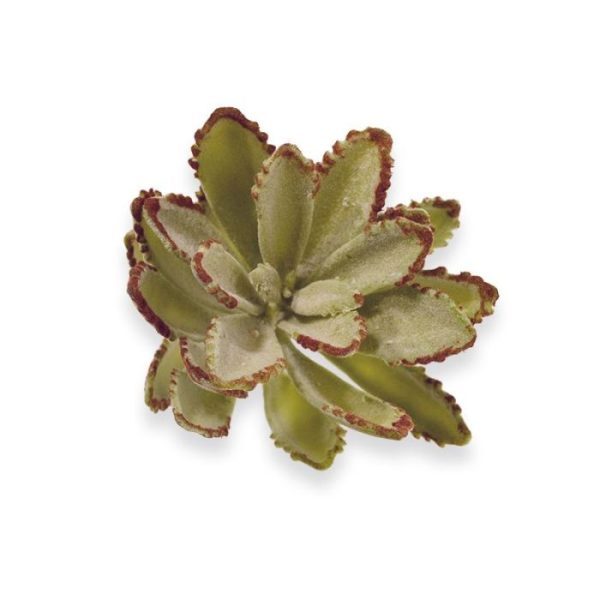 Echeveria Velvet Boeket 15 cm Het Echeveria Velvet boeket is een leuke kunstplant voor op tafel of in de vensterbank. Met meerdere cactusachtige vetplanten zijn prachtige combinaties te maken in een decoratief planten arrangement. De kunst Echeveria heeft grillige