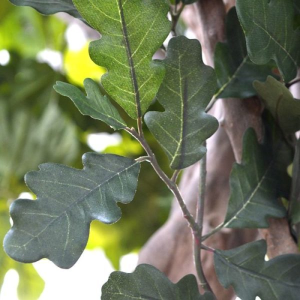 waardoor dit product bijzonder geschikt is om te verwerken in openbare ruimten en horeca gelegenheden.