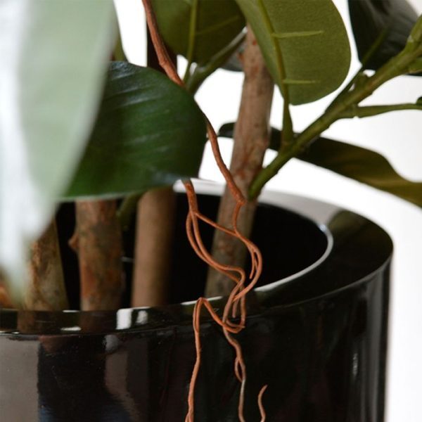 Elastica-Robusta-90-cm-groen-FR-3 Elastica Robusta 90 cm groen FR 3